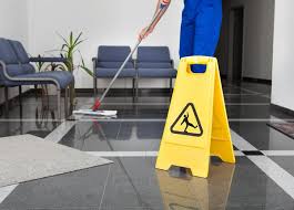 Weekly cleaning — professional team
